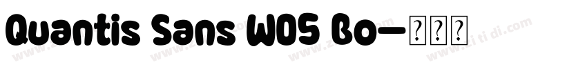 Quantis Sans W05 Bo字体转换
